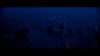 phoenix_0115.jpg