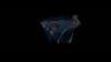 phoenix_1093.jpg