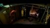 phoenix_1102.jpg