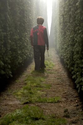Cliquez pour voir l'image en taille relle