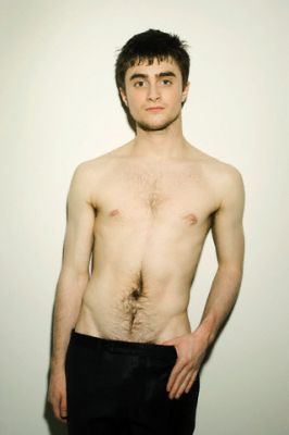 Cliquez pour voir l'image en taille relle