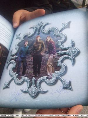 Cliquez pour voir l'image en taille relle